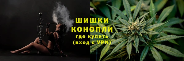 кокс Кинешма