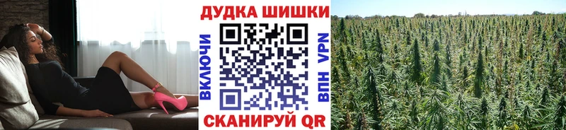 Каннабис Ganja  Купить закладки  Ахтубинск 